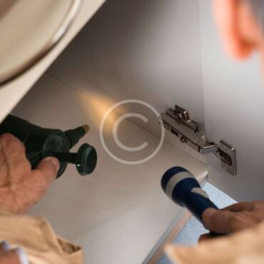 How to Choose A Pest Control Company
