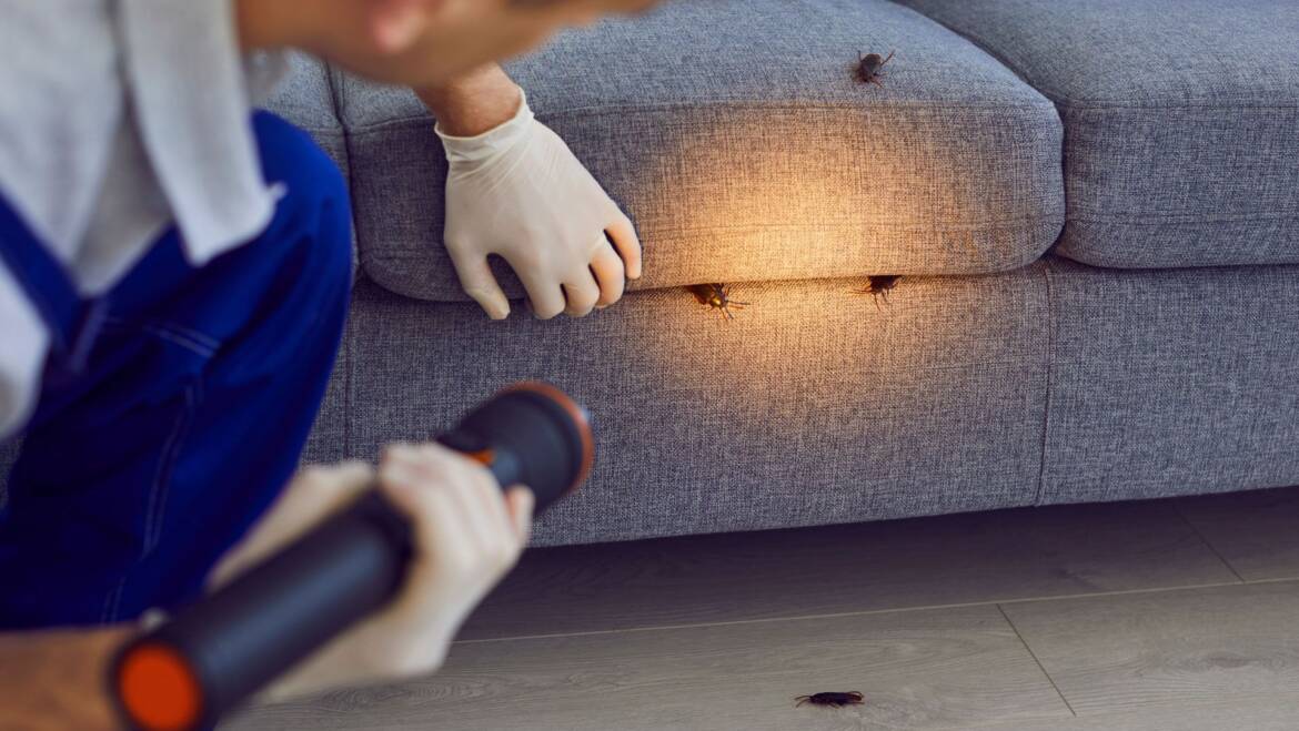 Cockroach Control