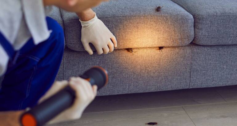 Cockroach Control